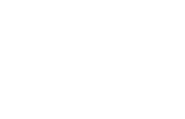 Logo weiß